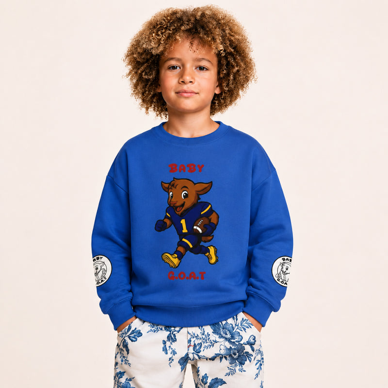 TODDLER SWEATSHIRTS