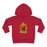 Author The Storyteller - Toddler Pullover Fleece Hoodie