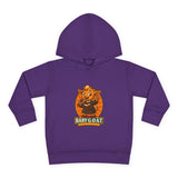 Author The Storyteller - Toddler Pullover Fleece Hoodie